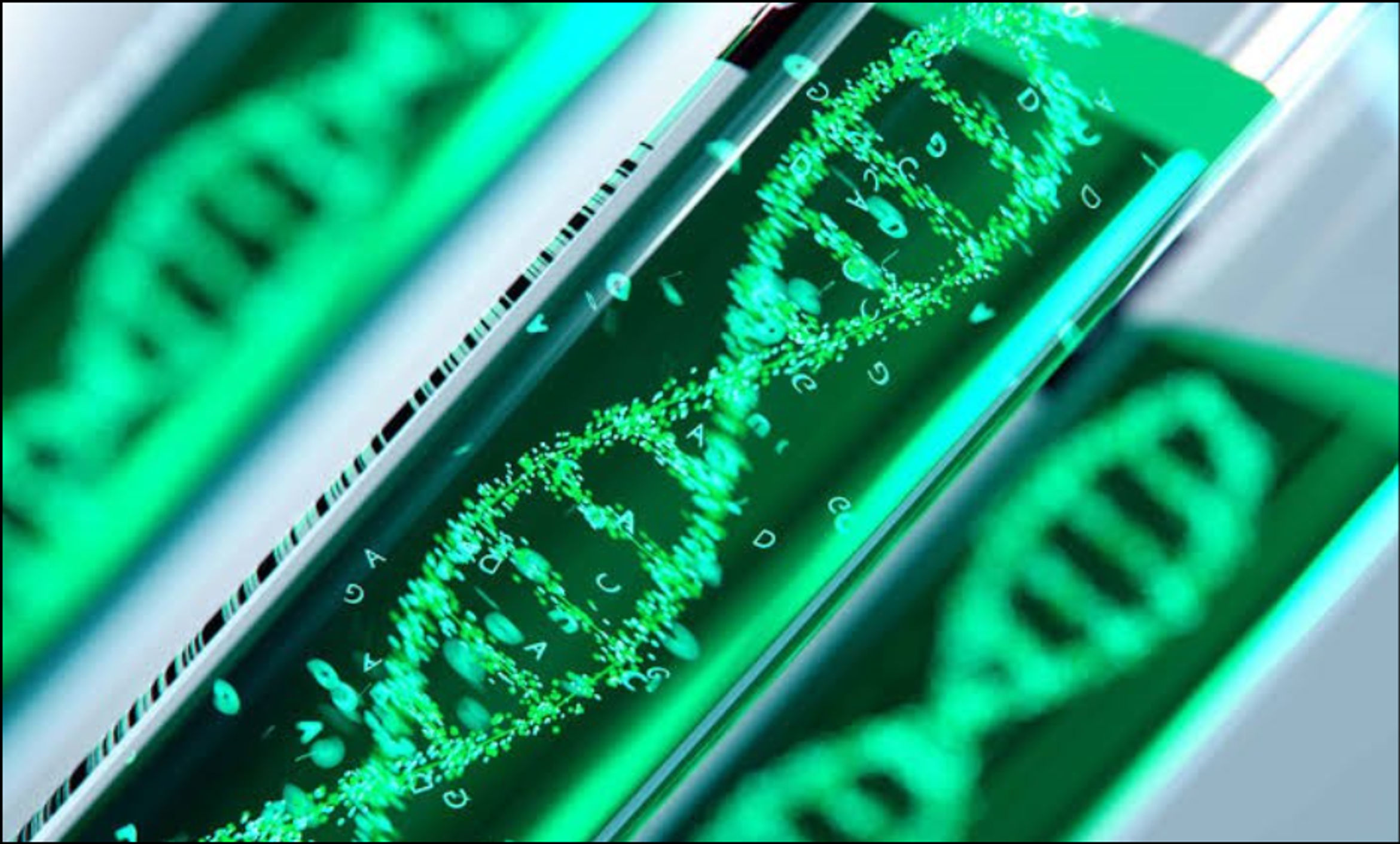 Decoding the green script - Unraveling plant genome DNA isolation.Img